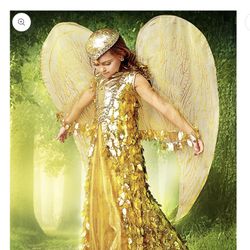 Girls Golden Phoenix Or Angel Costume- Size 10