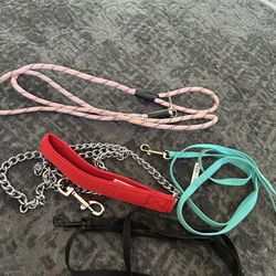Dog Leashes 