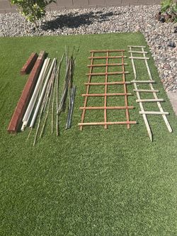 Garden Stakes/supports