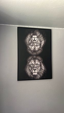 Framed black and white lion wall art