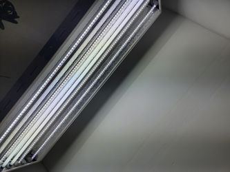 VEG Grow Light