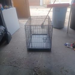 Dog Cage