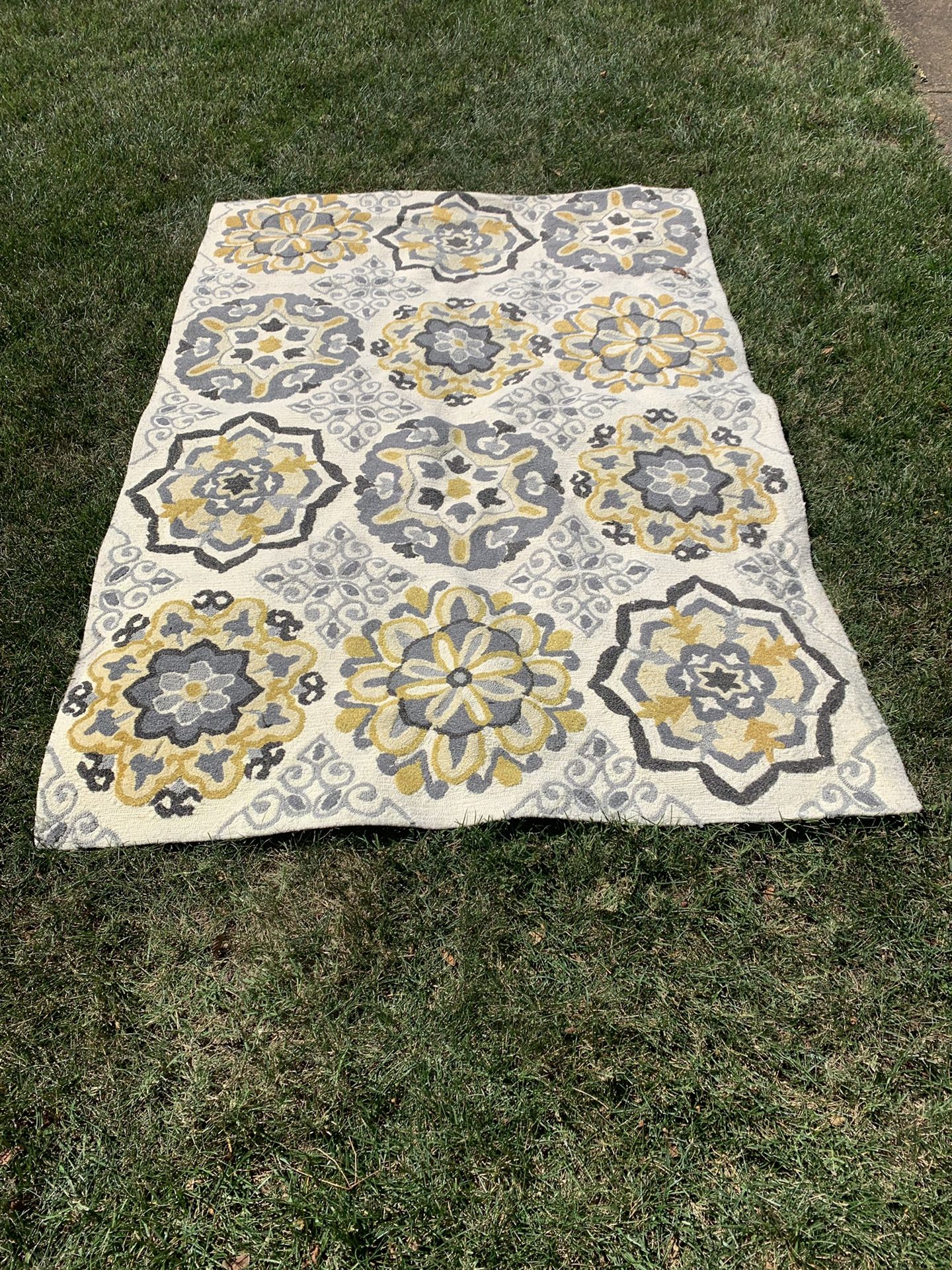 Rug indoor and outdoor 5X7.6 $40