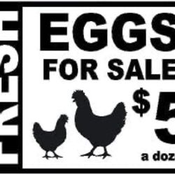 Farm Fresh Eggs Daily 