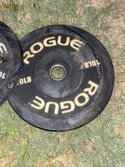 ROGUE ECHO BUMPER PLATES V2