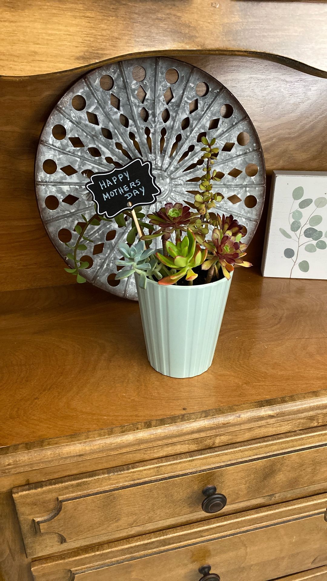 Plants- Succulents-Home Decor-gift