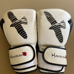 Hayabusa 16oz Boxing/MMA