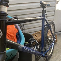 Gary Fisher Mountain Bike Vintage 