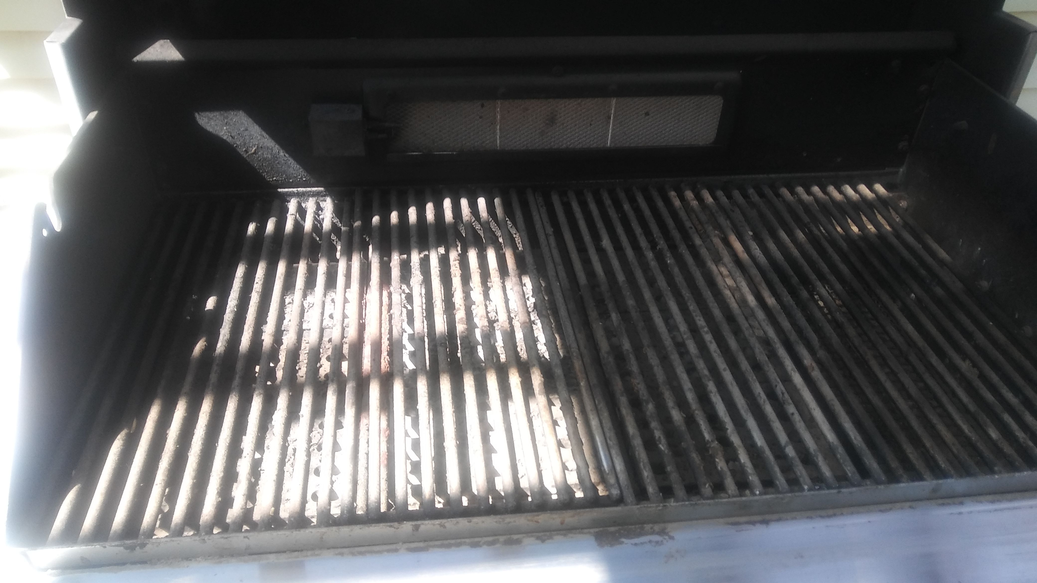 Professional gas grill
