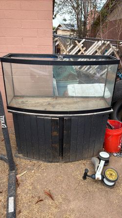 Fish aquarium