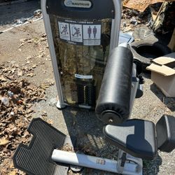 Nautilus Ab / Lower Back Machine 