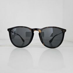 Rayban Erika Sunglasses