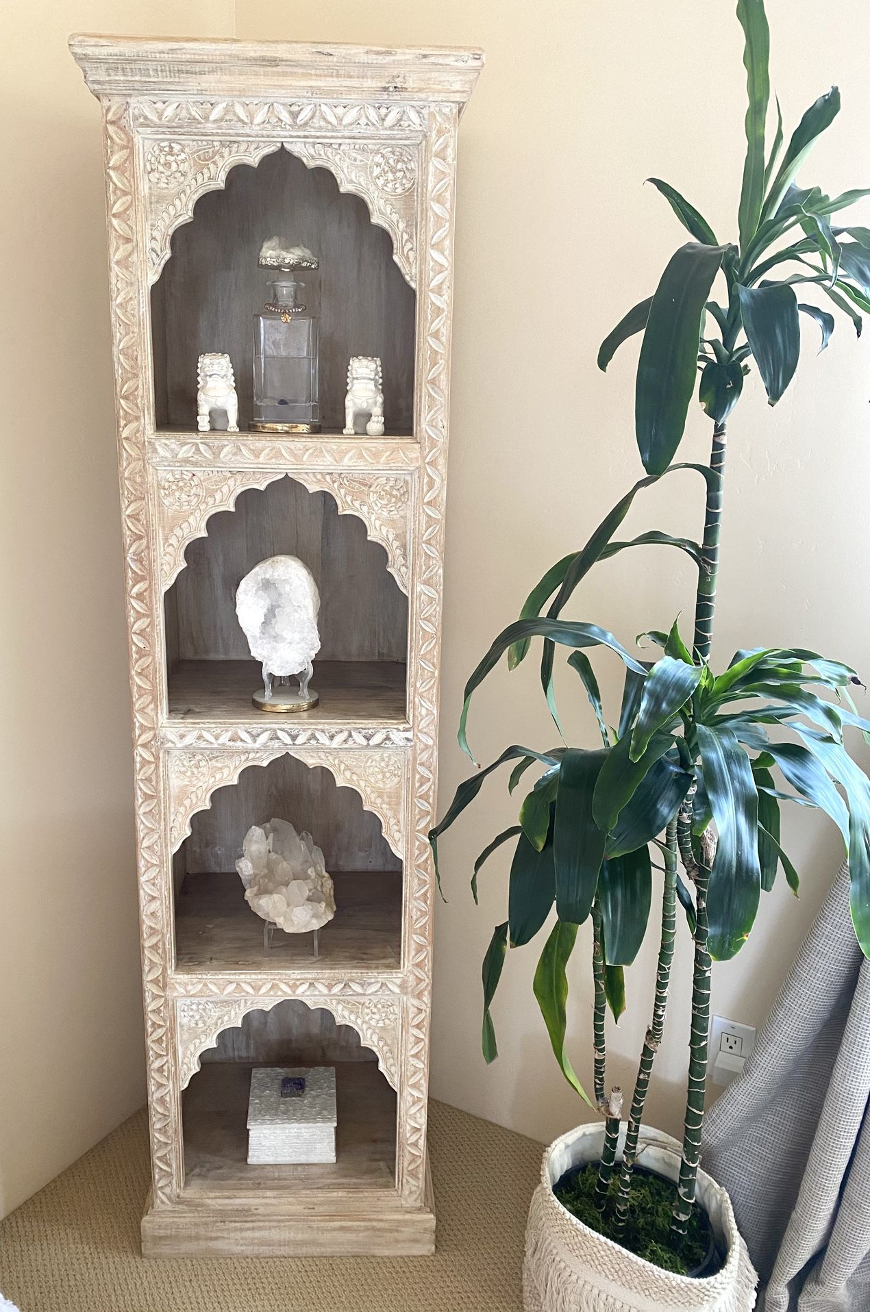 World Market Exclusive Bookshelf w/4 Display Shelves