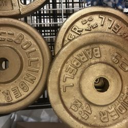 10IB Weight Plates 