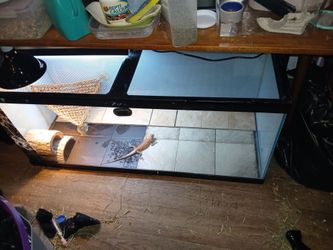Long table with fold down sides