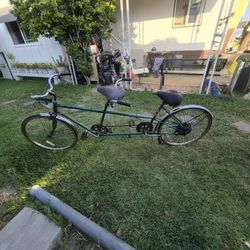 Classic Dual Bike