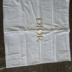 Christian Dior Bag Pouch