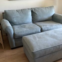 Light Blue Dogs Bed Couch 