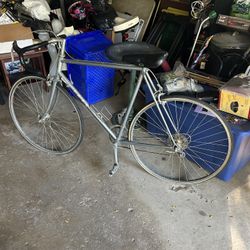 Trek 300 Elange  1980’s 