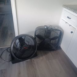 Fan