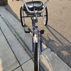 Adult tricycle-7 speed with basket