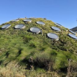 California Academy of Sciences E-Ticket