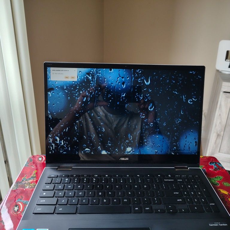 18" Chromebook Laptop/ Canon Printer/ Laminator $320