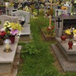 2 Plots