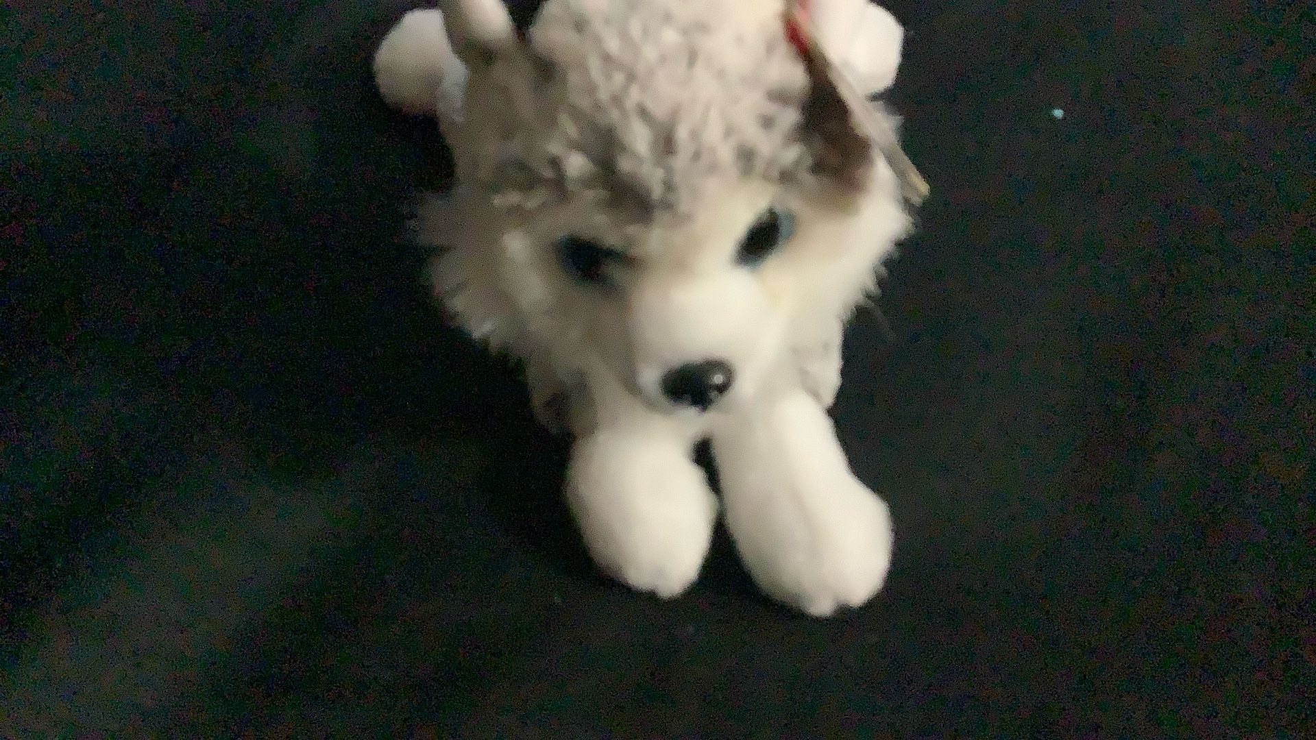 Stuffed animal dog