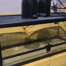 Terrarium For Lizard 20 Gallon 