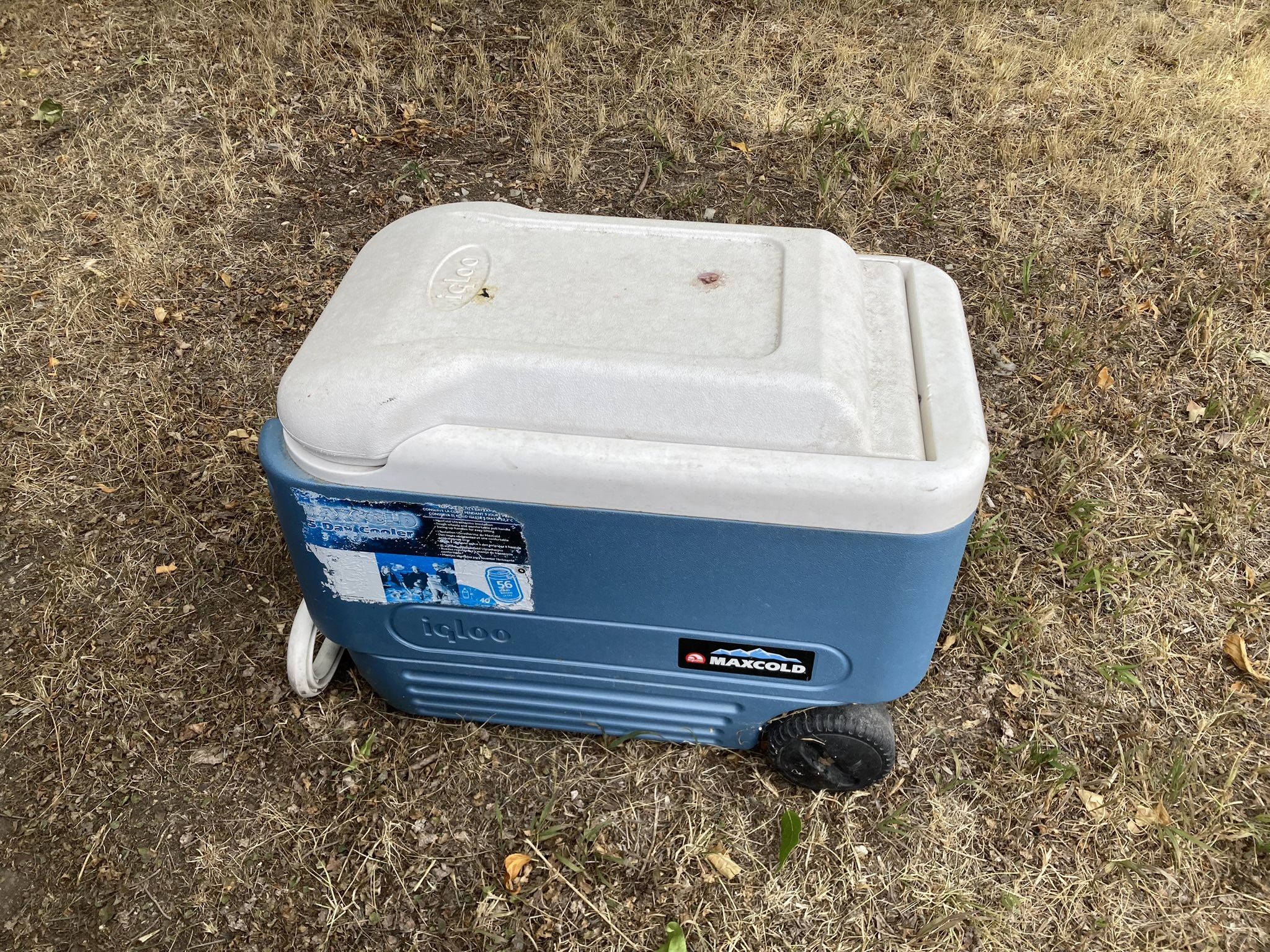 Cooler