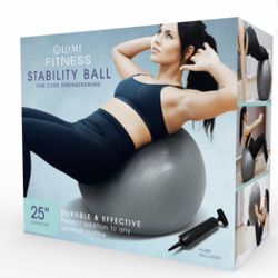 LOMI FITNESS 25 inch Stability Ball