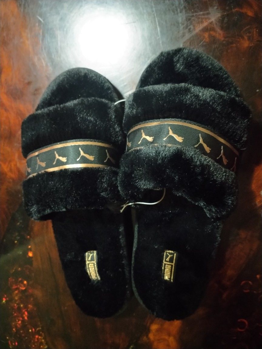 puma