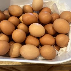 Fresh Eggs