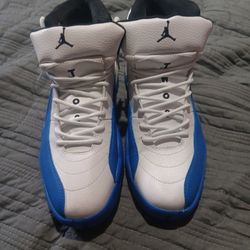 Blueberry Jordan 12 