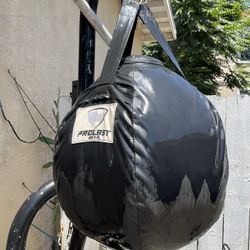 Punching Bag 