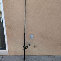 Conventional Fishing Rod & Reel