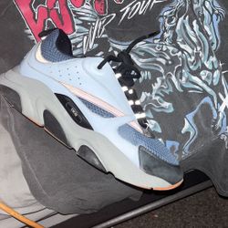 Dior B22s 