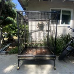 4’ft Birdcage