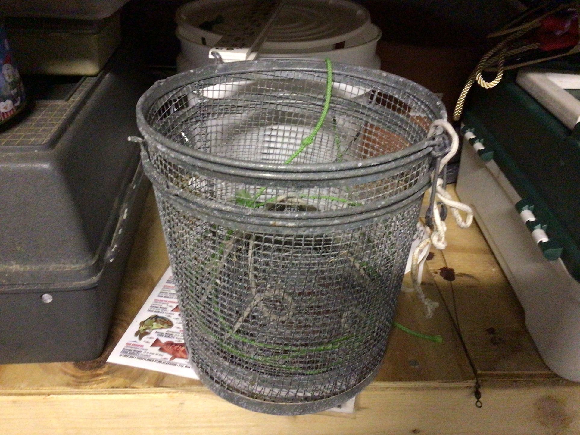 Minnow Trap