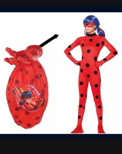 Ladybug Girl's -Dress Costume and basket