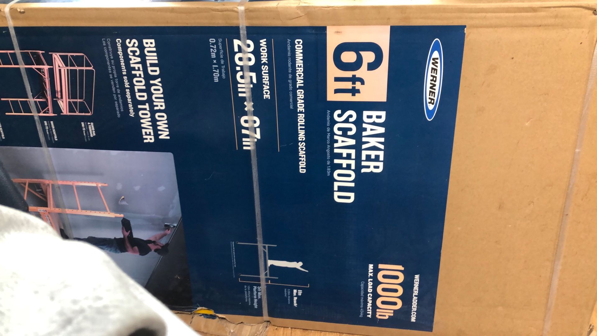 Scaffold