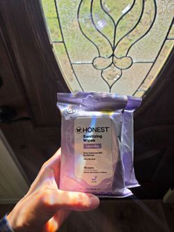 Travel disinfectant wipes