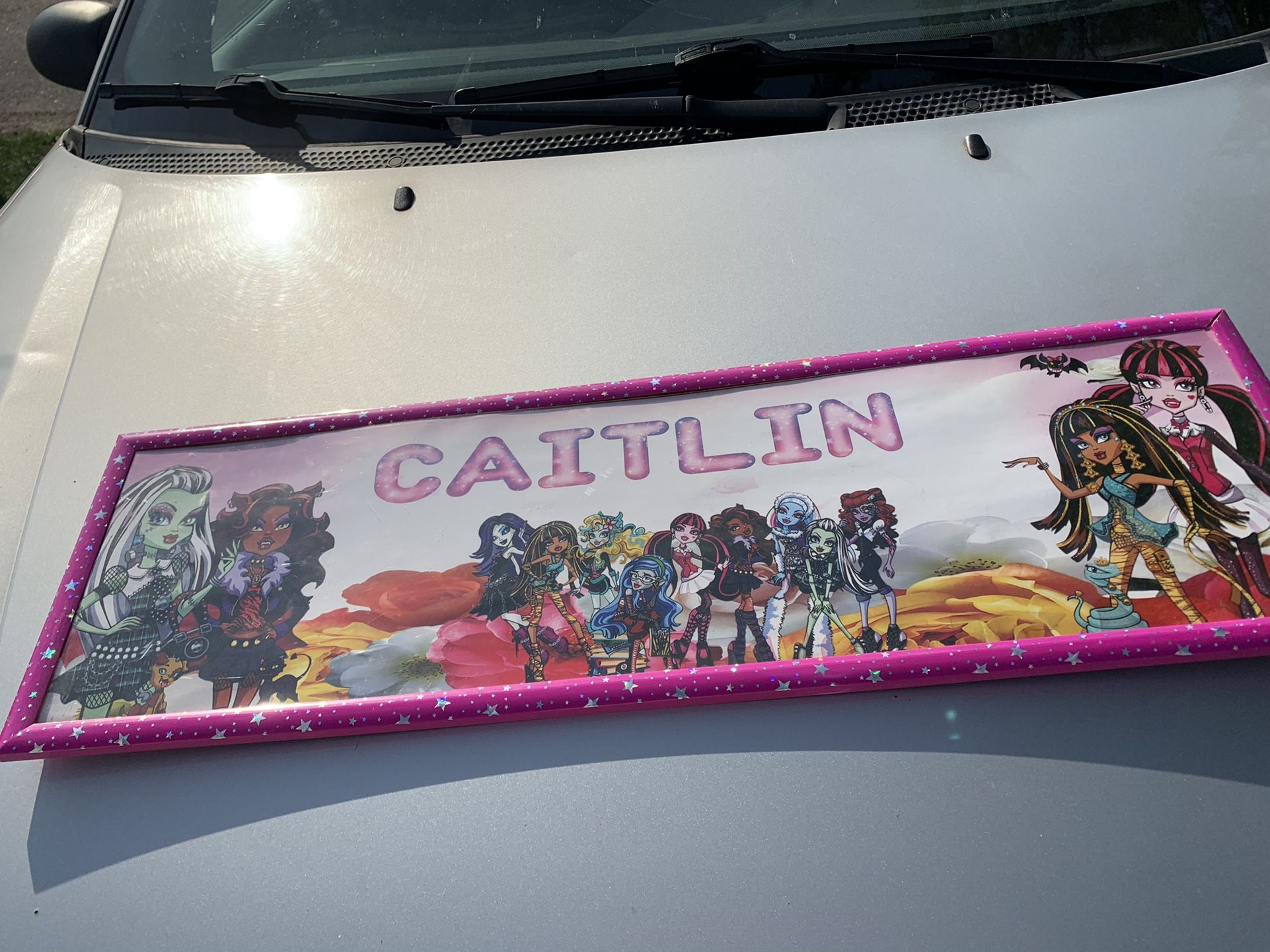 Monster high Caitlin picture