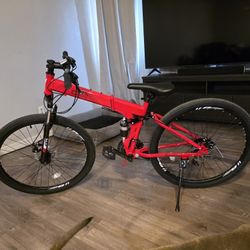 Camping Folding Bike 