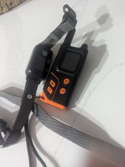 Do Shock Collar