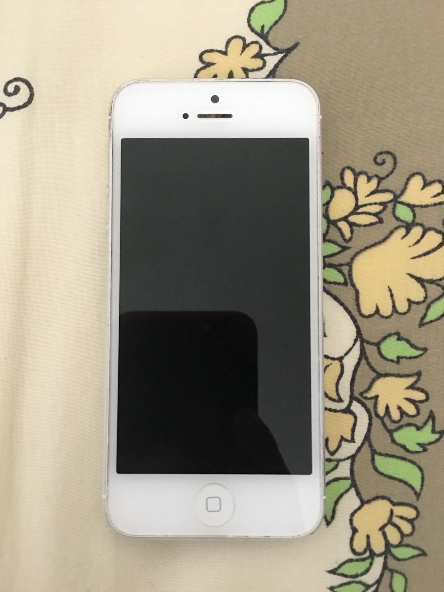 iphone 5 ( disabled connect to itunes )