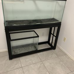 55 gallon and stand !  and 20 gallon