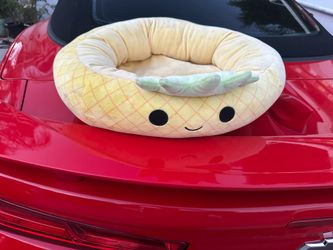 Free Cat Bed