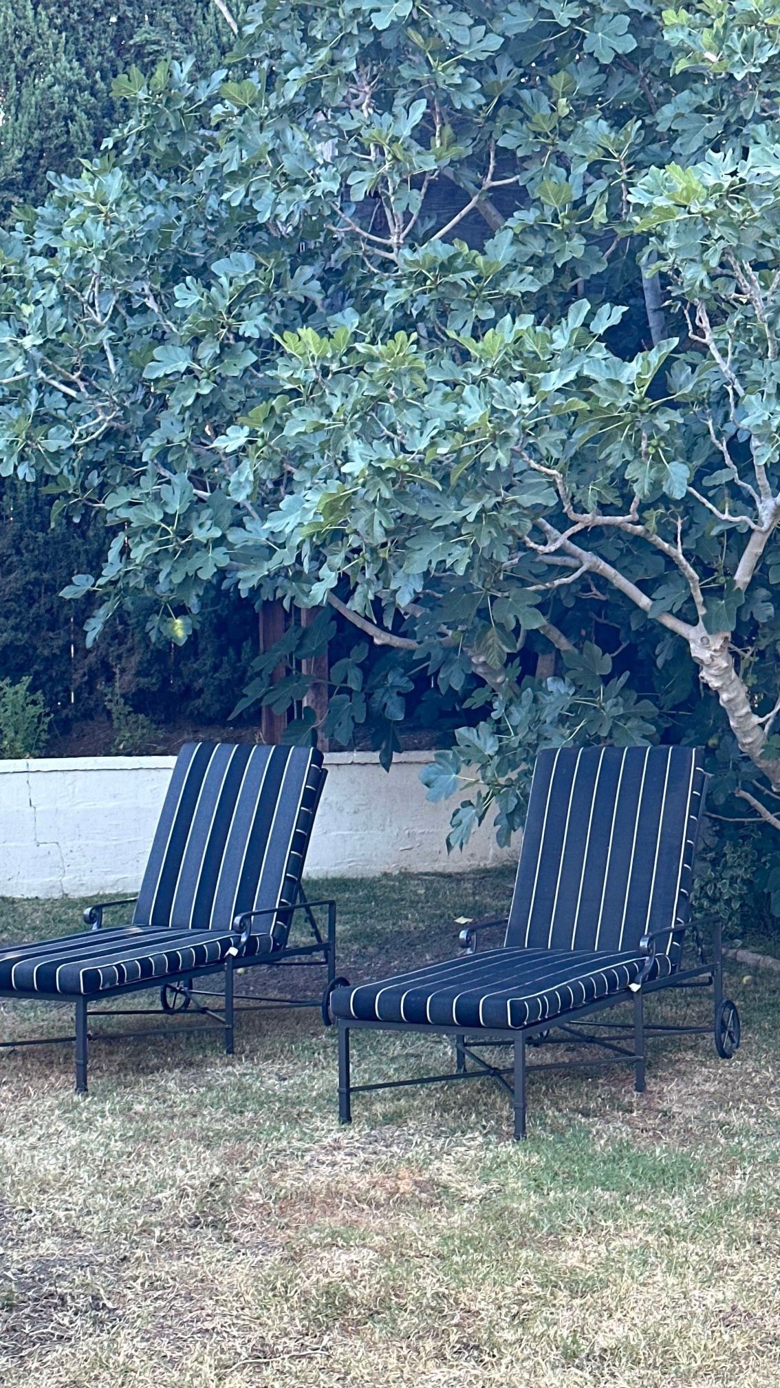 Pair of Brown Jordan Venetian sun loungers on wheels with striped